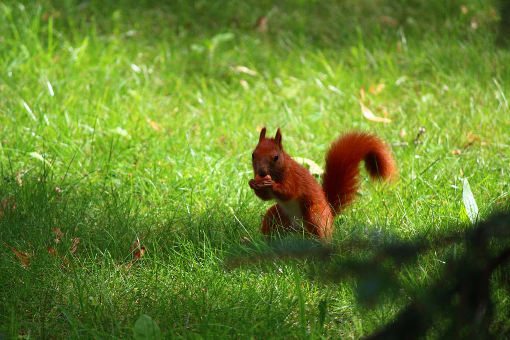  Łazienki Królewskie